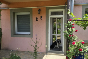 nr179-fodor-apartment_019