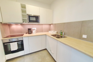 nr-120-susan-apartman_009