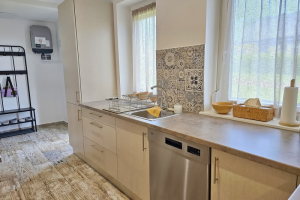 14_pg_balaton_ferienwohnung_mit_pool_birotours