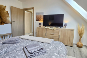 22_pg_balaton_ferienwohnung_mit_pool_birotours