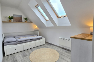 24_pg_balaton_ferienwohnung_mit_pool_birotours