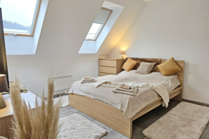 nr-122-pool-park-balaton-apartment_016