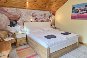 nr-200-1-villa-matis_02