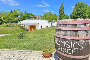 romsics_pince_ferienhaus_nr_219_30