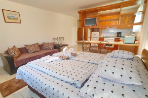 nr56-1-ferienwohnung-laszlo_22