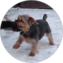 Joerg Beyer profile picture